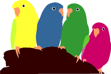 colorful, aren't they?