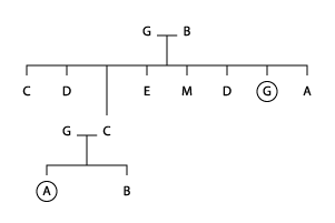 my hairy family tree