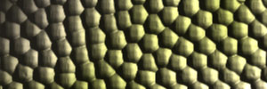 Snake Skin used as texture channel in rendering Lighting Effects - click to enlarge