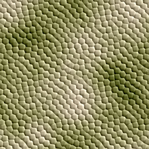 Photoshop Tutorial: Dragon, Snake and Reptile Skin Texture