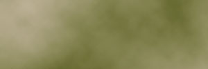 snake skin color - click to enlarge