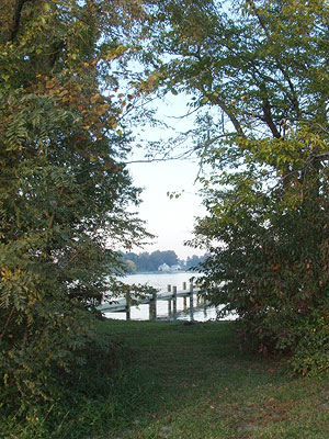 the pier from the backyard of a house in St. Michael's
