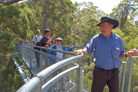 ...on the tree top walk...