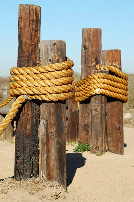 Posts at the Bolsa Chica Ecological Reserve