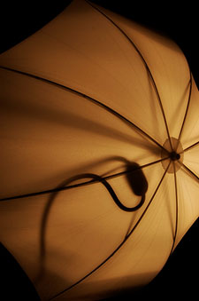 light and umbrella that H.E. bought me to further my photography education