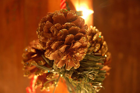 Happy Holidays!